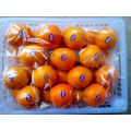 Deliciosa fruta de primera calidad Naranja ombligo